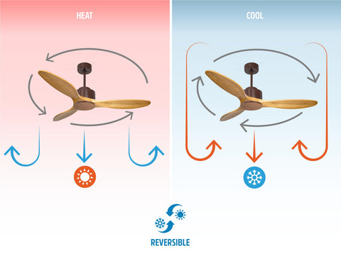 Ventilador de techo