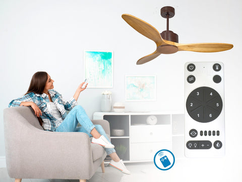 Ventilador de techo
