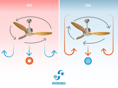 Ventilador de techo