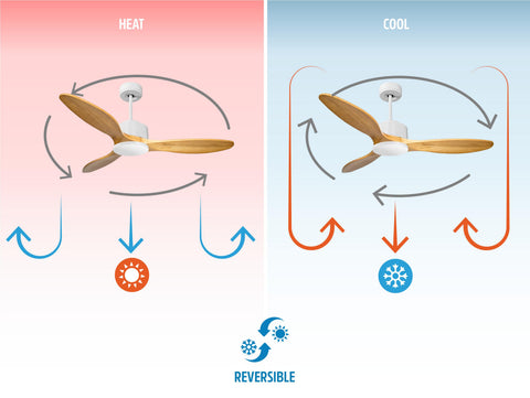 Ventilador de techo