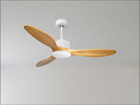 Ventilador de techo