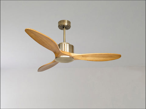 Ventilador de techo
