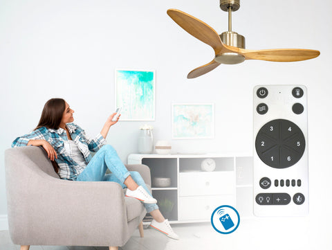 Ventilador de techo