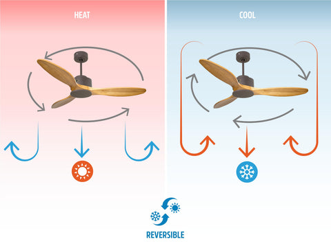 Ventilador de techo