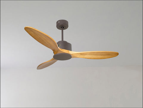 Ventilador de techo