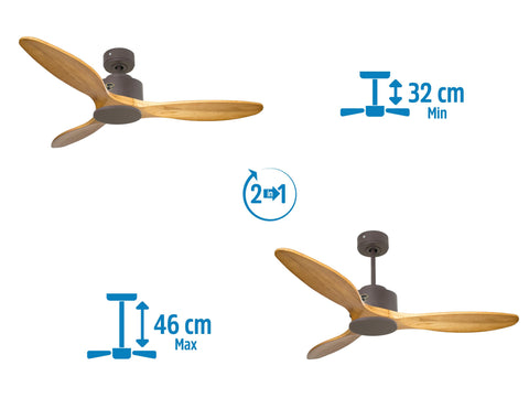 Ventilador de techo