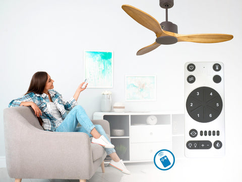 Ventilador de techo