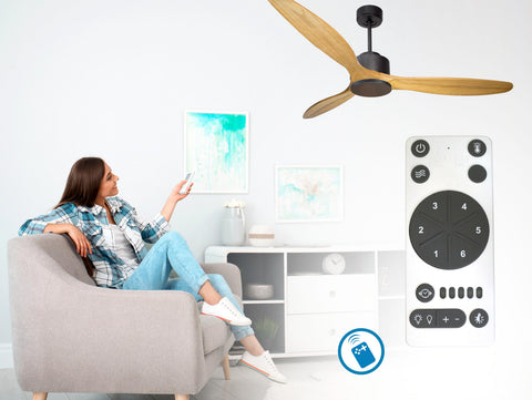 Ventilador de techo