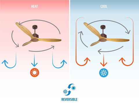 Ventilador de techo