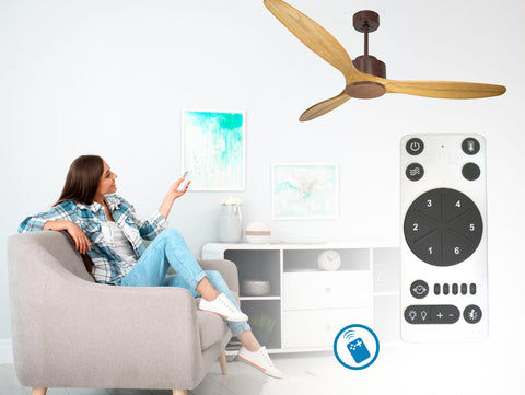 Ventilador de techo