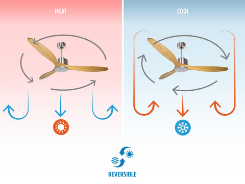 Ventilador de techo