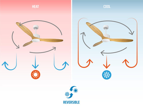 Ventilador de techo