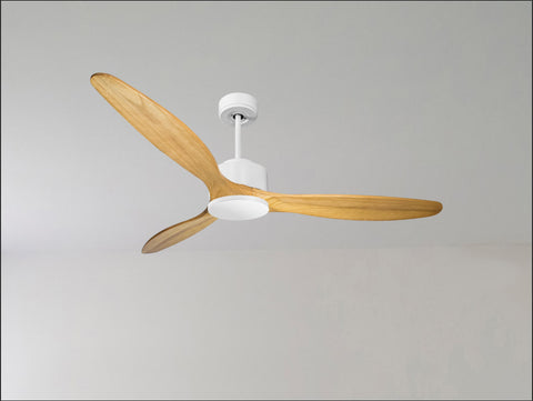 Ventilador de techo