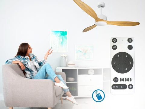 Ventilador de techo