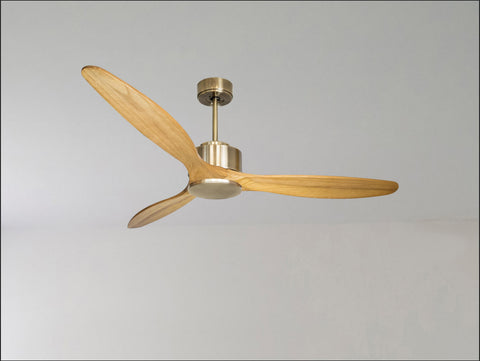 Ventilador de techo