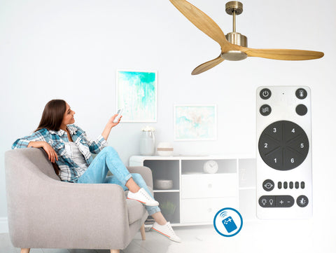 Ventilador de techo