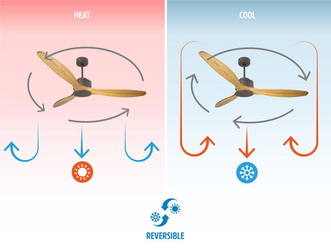 Ventilador de techo