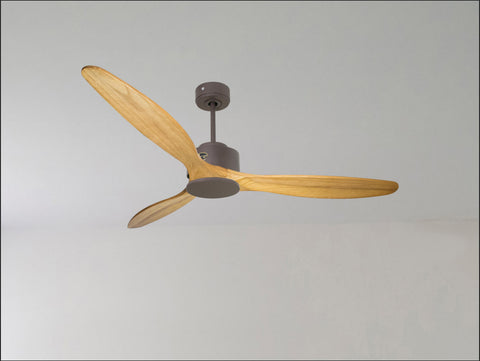 Ventilador de techo