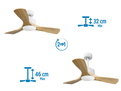 Ventilador de techo
