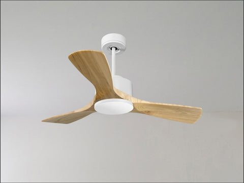 Ventilador de techo