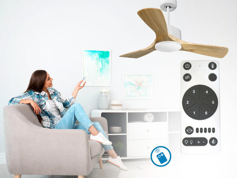 Ventilador de techo