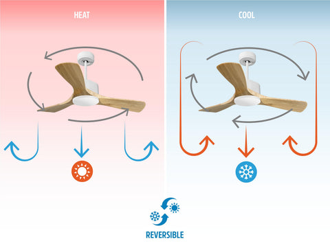 Ventilador de techo