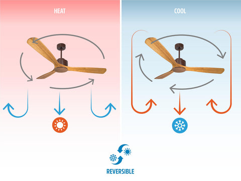 Ventilador de techo