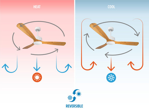 Ventilador de techo