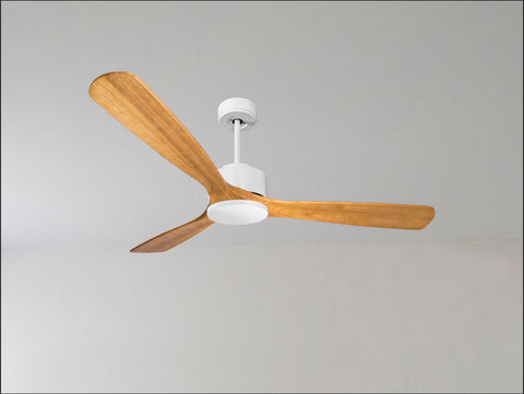 Ventilador de techo