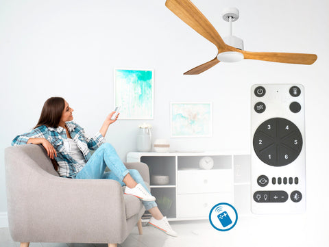 Ventilador de techo