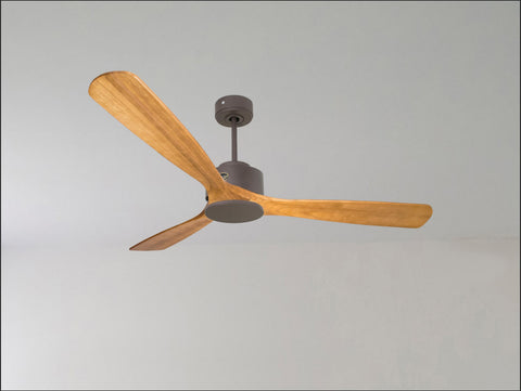 Ventilador de techo