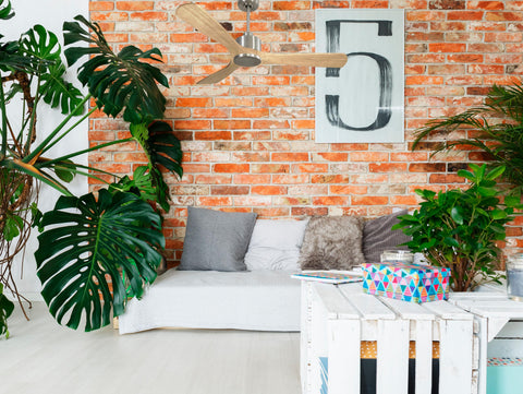 Ventilador de techo Reversible Termostato Wifi Motor DC Techos Inclinados Mando a Distancia Hypersilence Memoria 7