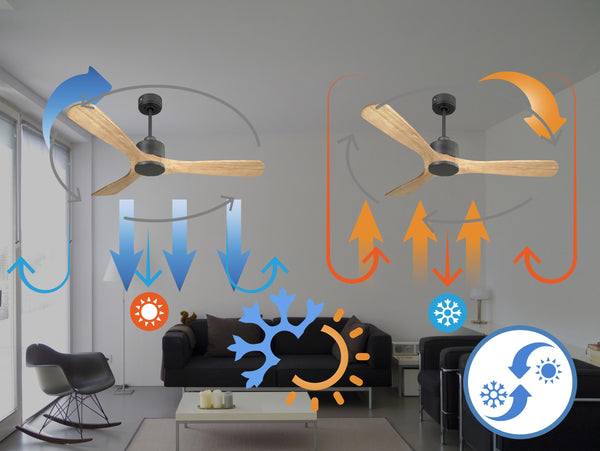 Ventilador de techo Reversible Termostato Wifi Motor DC Techos Inclinados Mando a Distancia Hypersilence Memoria 2