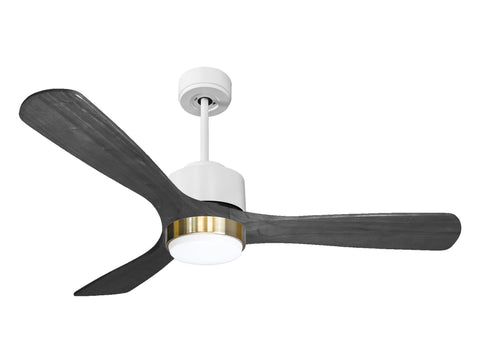 Ventilador de Techo Ultra silencioso de bajo consumo DC PaxosD132C02LED66312