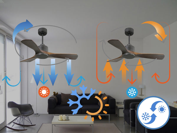 Ventilador de techo Reversible Termostato Wifi Motor DC Techos Inclinados Mando a Distancia Hypersilence Memoria 2