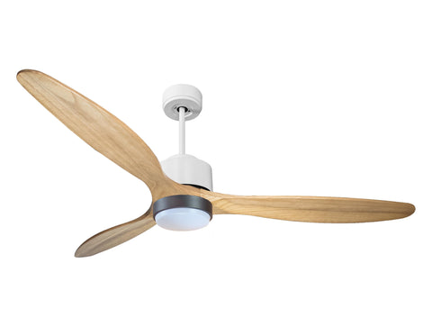 Ventilador de techo