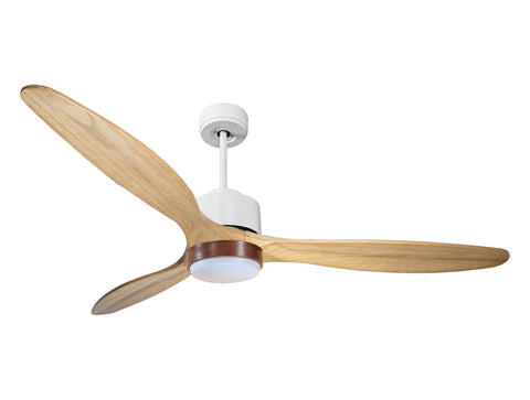 Ventilador de Techo Ultra silencioso de bajo consumo DC RangiroaD166C02LED66253