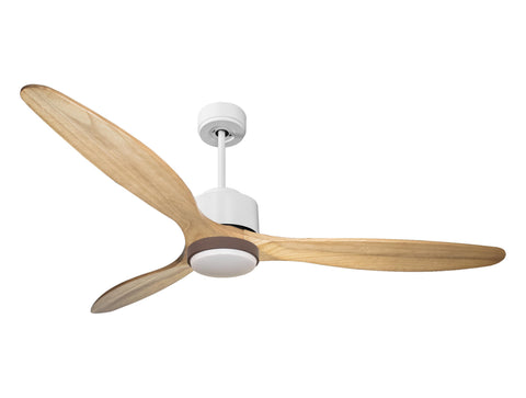 Ventilador de Techo Ultra silencioso de bajo consumo DC RangiroaD166C02LED66256