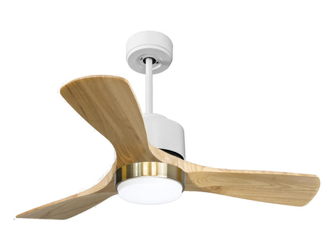 Ventilador de Techo Ultra silencioso de bajo consumo DC RarotongaD106C02LED66272