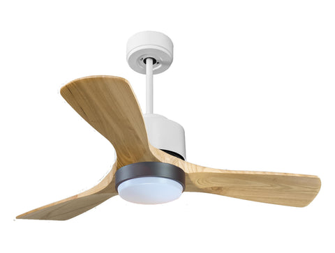 Ventilador de Techo Ultra silencioso de bajo consumo DC RarotongaD106C02LED66273