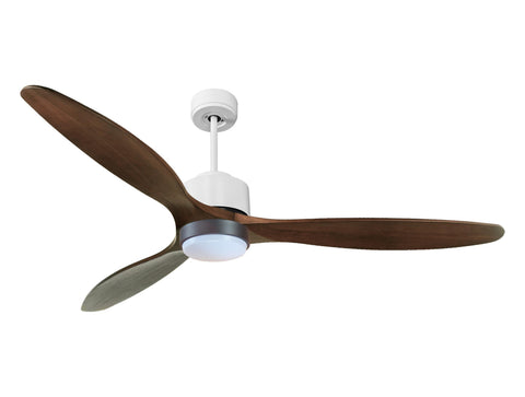 Ventilador de techo