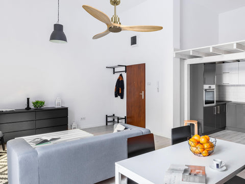 Ventilador de techo Reversible Termostato Wifi Motor DC Techos Inclinados Mando a Distancia Hypersilence Memoria 3