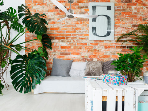 Ventilador de techo Reversible Termostato Wifi Motor DC Techos Inclinados Mando a Distancia Hypersilence Memoria