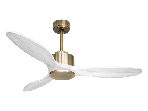 Ventilador de techo Modo Invierno/Verano Termostato Wifi Motor DC Techos Inclinados Mando a Distancia Hypersilence Memoria