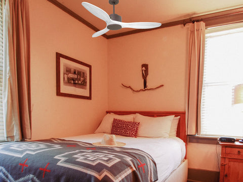 Ventilador de techo Modo Invierno/Verano Termostato Wifi Motor DC Techos Inclinados Mando a Distancia Hypersilence Memoria