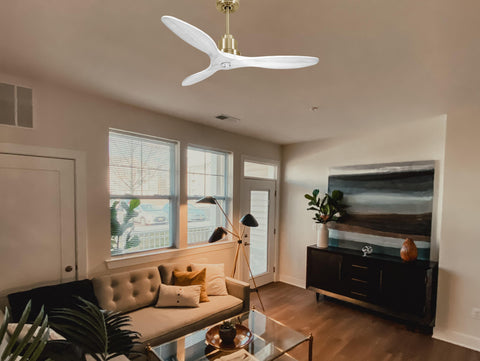 Ventilador de techo Modo Invierno/Verano Termostato Dimable Wifi Motor DC Techos Inclinados Mando a Distancia Luz tres tonos Hypersilence Memoria