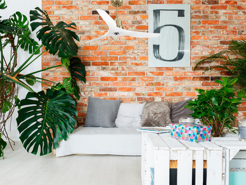 Ventilador de techo Reversible Termostato Dimable Wifi Motor DC Techos Inclinados Mando a Distancia Luz tres tonos Adaptador 2/3 Aspas Hypersilence Memoria 2