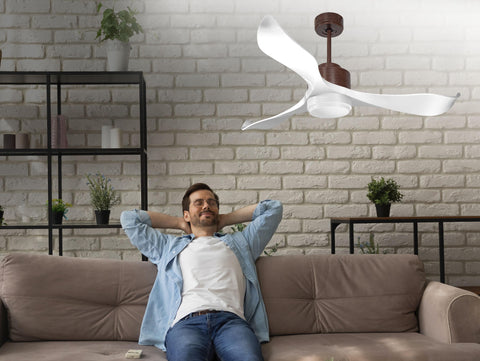 Ventilador de Techo Ultra silencioso de bajo consumo DC VirginD132C02LED66938