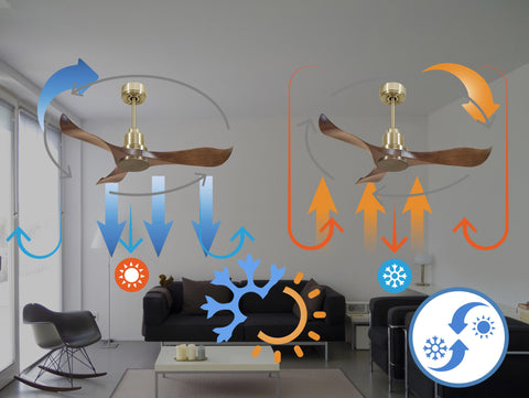 Ventilador de techo Reversible Termostato Wifi Motor DC Techos Inclinados Mando a Distancia Adaptador 2/3 Aspas Hypersilence Memoria 3