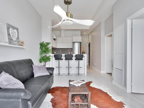 Ventilador de techo Reversible Termostato Dimable Wifi Motor DC Techos Inclinados Mando a Distancia Luz tres tonos Adaptador 2/3 Aspas Hypersilence Memoria 5